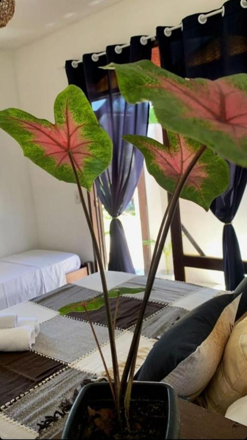 A Arca Pousada Praia de Pipa Esterno foto